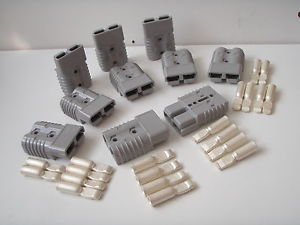 www.chanphong.com